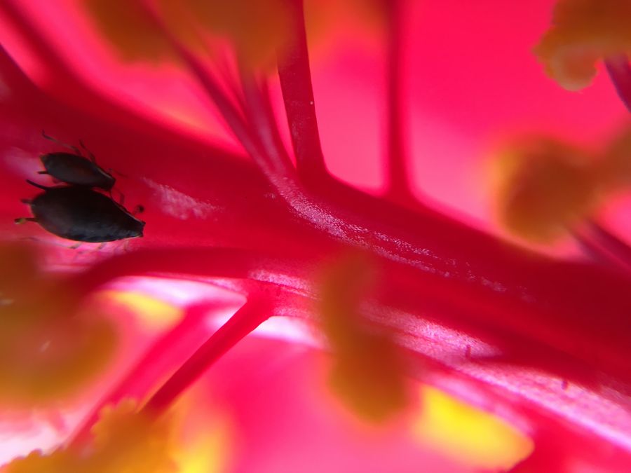 IMG_1856 IMG_1856