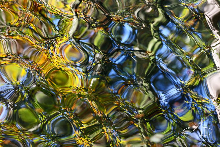 004-MOSAIQUE-AQUATIQUE-II – Photographie digitale (Suisse, 2010) 004-MOSAIQUE-AQUATIQUE-II - Photographie digitale (Suisse, 2010)