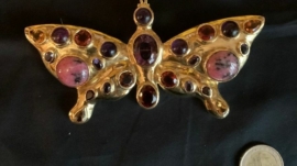 Papillon1