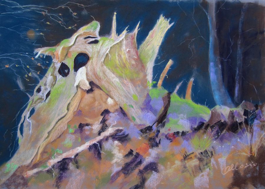 racine boréale(60×80) racine boréale(60x80)