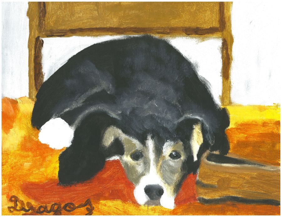 Dragoș Mihai Dobocan – Artiste peintre