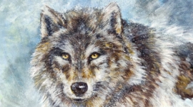 Le loup 46x38 acrylique sur toile