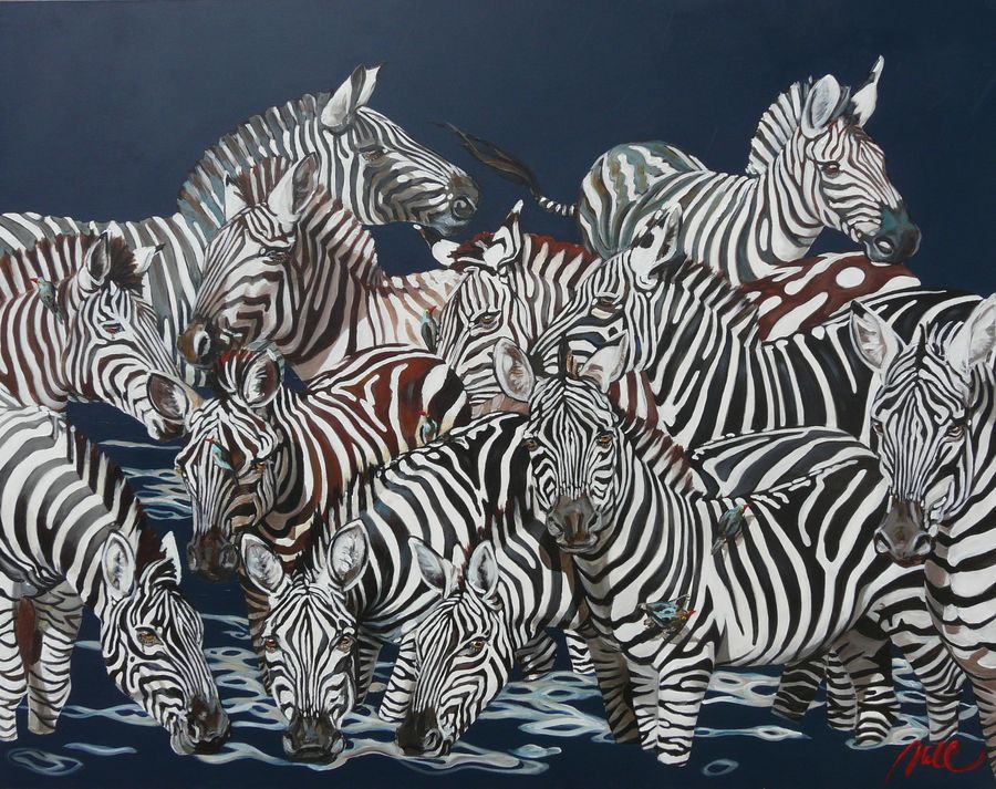 150×130 ZEBRES MARINE 150x130 ZEBRES MARINE