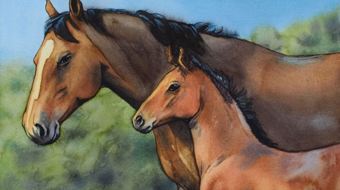 5_Jument et poulain, 34x24cm, aquarelle