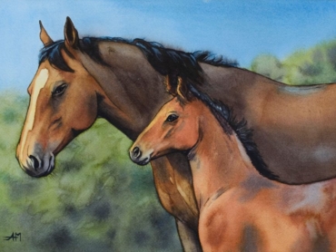 5_Jument et poulain, 34x24cm, aquarelle