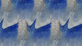 chats bleus final