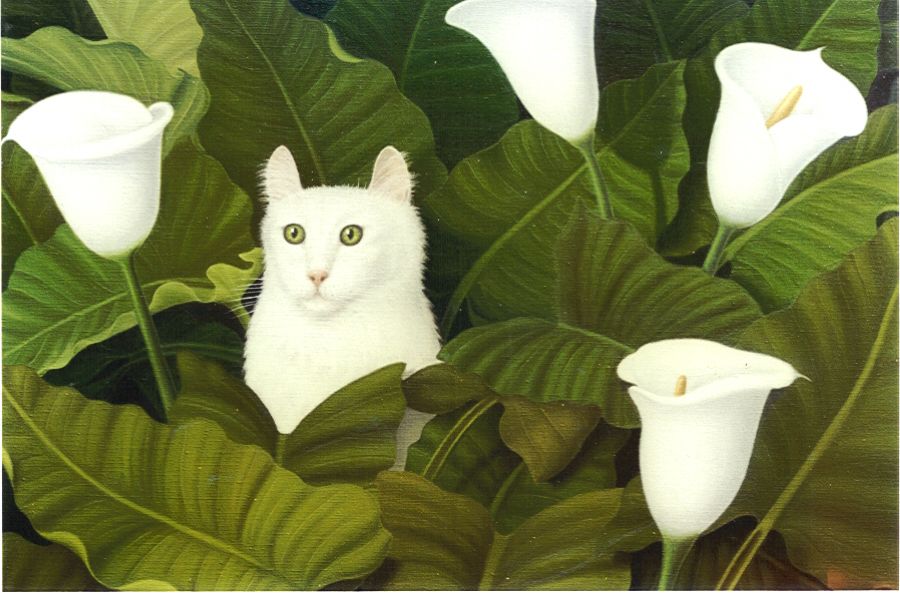 Chat dans Arums 65.50 Chat dans Arums 65.50