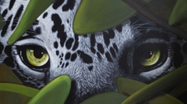 Le-Gouverneur-du-Pantanal-60x80cm