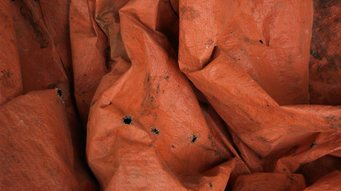 2024 Vietnam. Single print ; OA 70x53 cm (margin 4.5cm) + 1 AP