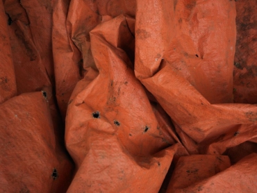 2024 Vietnam. Single print ; OA 70x53 cm (margin 4.5cm) + 1 AP