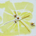 Marguerites-Technique-mixte-30-cm-x-30-cm
