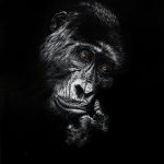 FLP_0758-c
