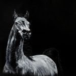FLP_2176-c
