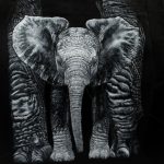 FLP_2519-c