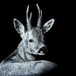 FLP_3956-c