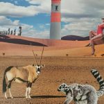 desert-marin