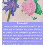 Aquarelle-A3-poesie-Fleurs-dete-2025