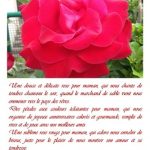 Photo-A4-poesie-Bonne-fete-maman-2012