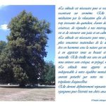Photo-A4-poesie-La-solitude-2013