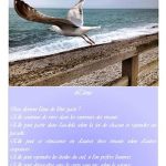 Photo-A4-poesie-Lame-2021