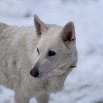 IMG_0627
