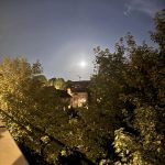IMG_1419