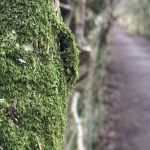IMG_1909