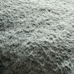 IMG_2768