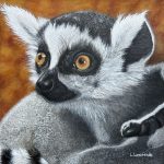 20-Leveil-Lemurien-16-x-16-po-LLamirande-copie