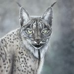 Le-charmeur