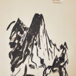 Les-Drus-Cat-Kartal-50x65-1