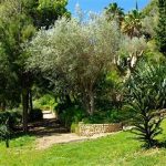 parc-mugel-1
