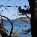 parc_du_mugel___la_ciotat